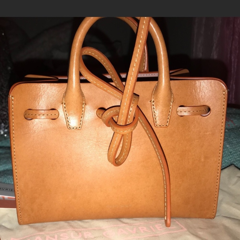 Mansur Gavriel Mini Mini Sun Purse